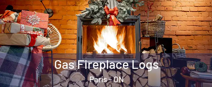 Gas Fireplace Logs Paris - ON