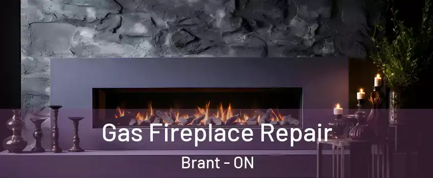  Gas Fireplace Repair Brant - ON