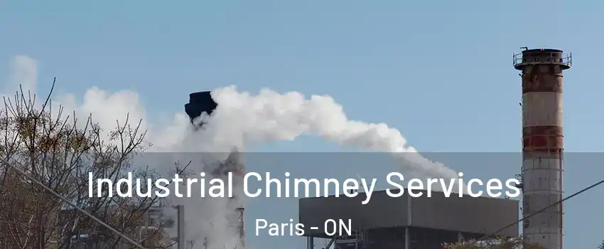 Industrial Chimney Services Paris - ON