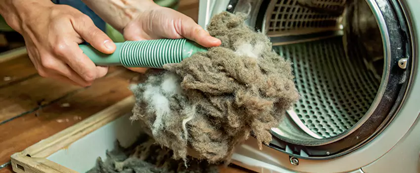 Best Dryer Lint Removal Company in Brant, Ontario