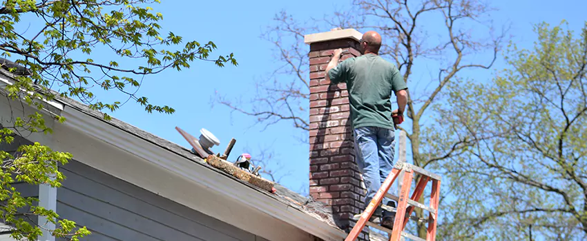 Chimney And Flue Brush Cleaning in Brant, Ontario