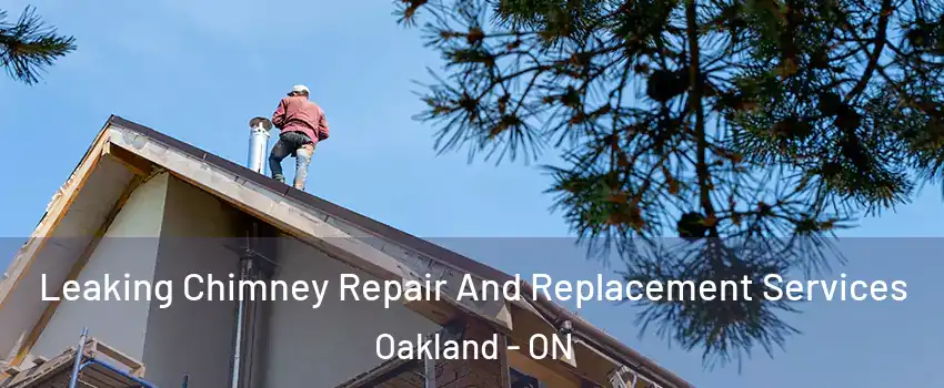  Leaking Chimney Repair And Replacement Services Oakland - ON