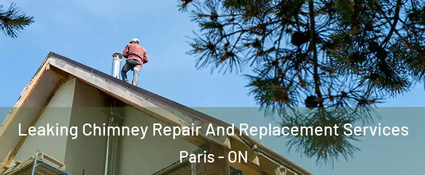 Leaking Chimney Repair And Replacement Services Paris - ON