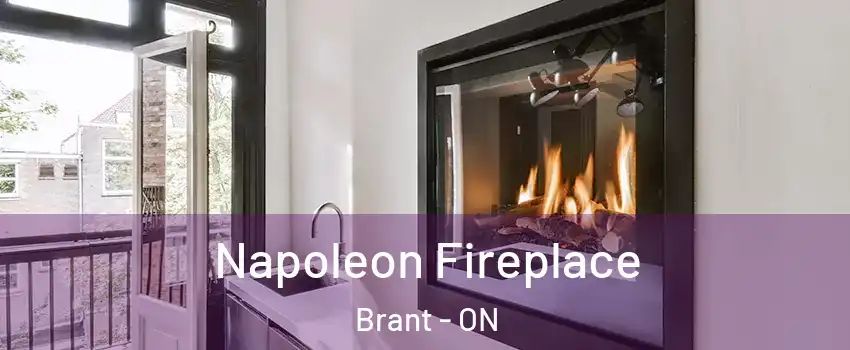  Napoleon Fireplace Brant - ON