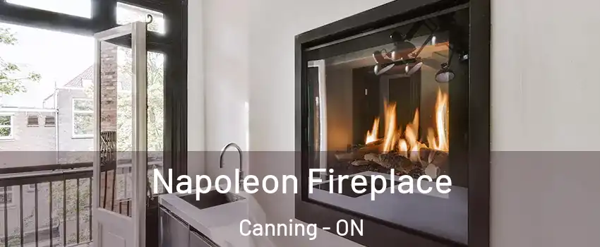  Napoleon Fireplace Canning - ON