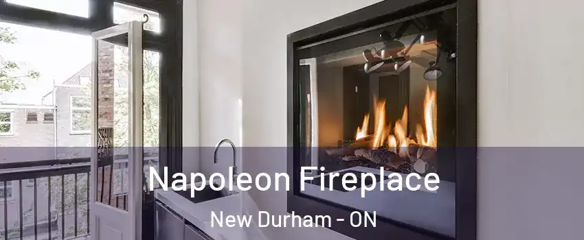  Napoleon Fireplace New Durham - ON