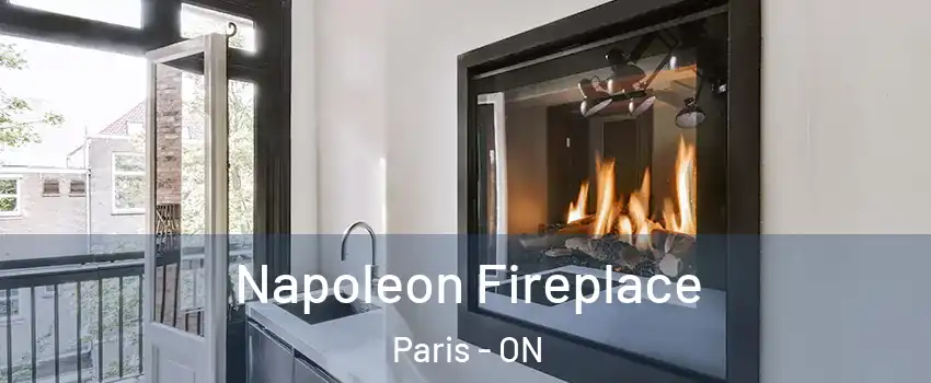  Napoleon Fireplace Paris - ON