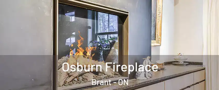  Osburn Fireplace Brant - ON