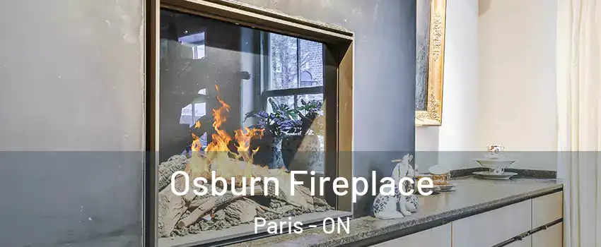 Osburn Fireplace Paris - ON