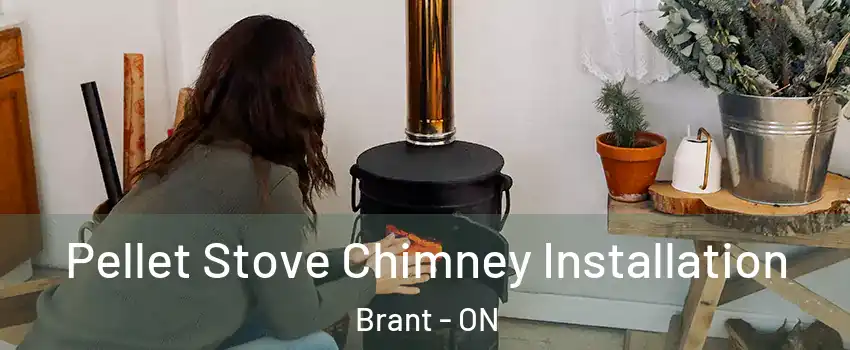  Pellet Stove Chimney Installation Brant - ON