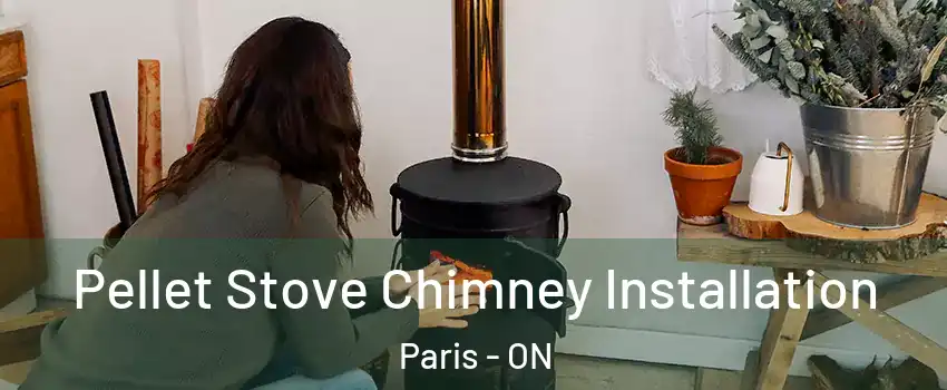  Pellet Stove Chimney Installation Paris - ON