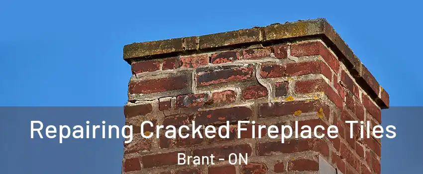  Repairing Cracked Fireplace Tiles Brant - ON