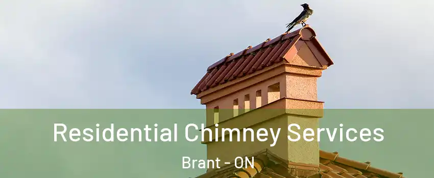 Residential Chimney Services Brant - ON