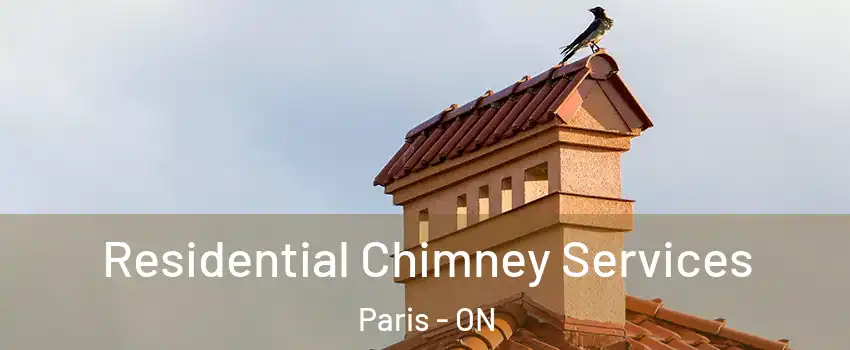 Residential Chimney Services Paris - ON