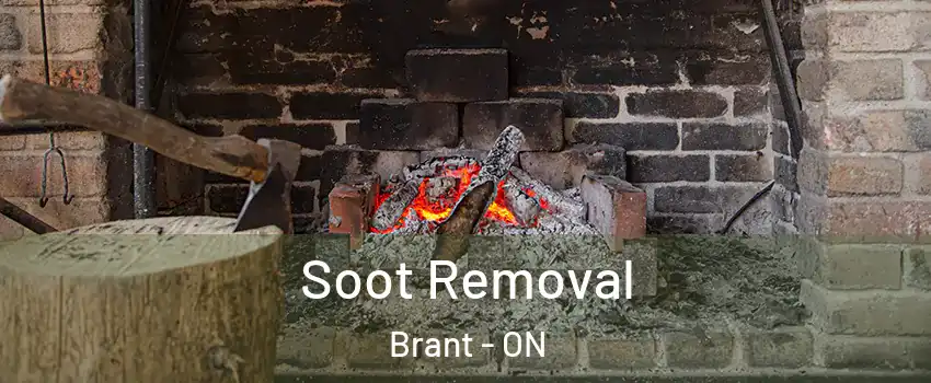  Soot Removal Brant - ON
