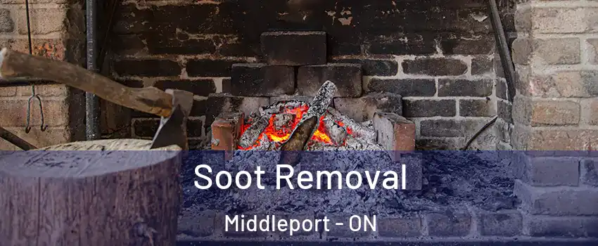  Soot Removal Middleport - ON