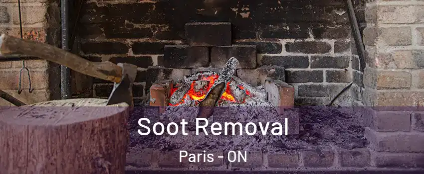  Soot Removal Paris - ON