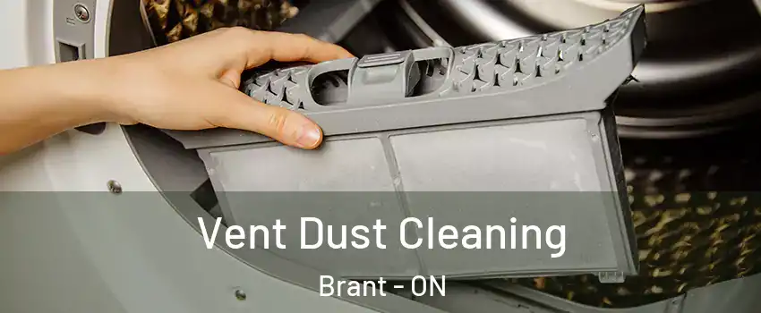  Vent Dust Cleaning Brant - ON