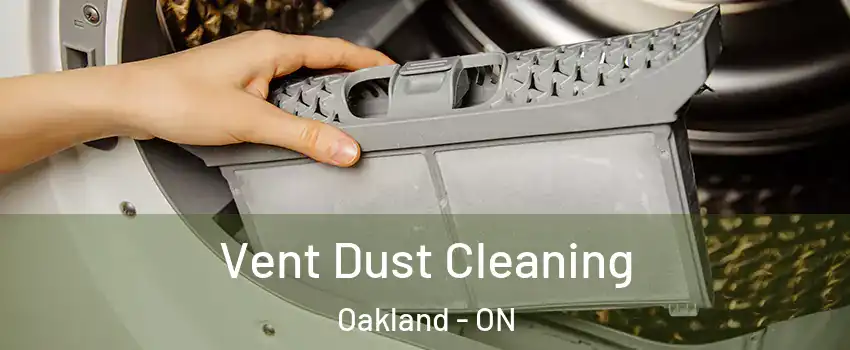  Vent Dust Cleaning Oakland - ON