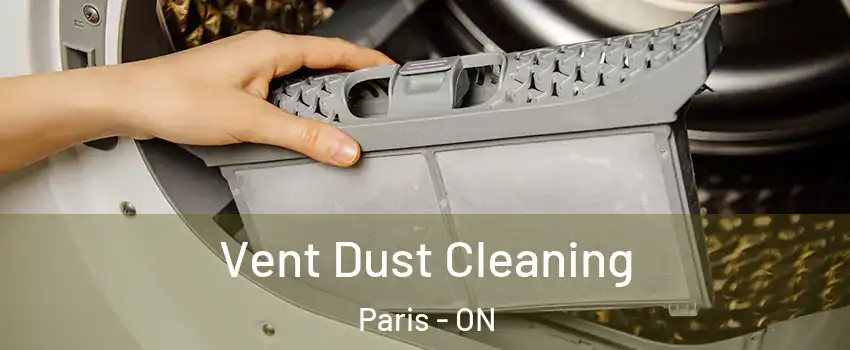  Vent Dust Cleaning Paris - ON