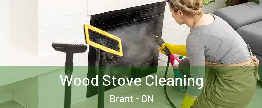 Wood Stove Cleaning Brant - ON