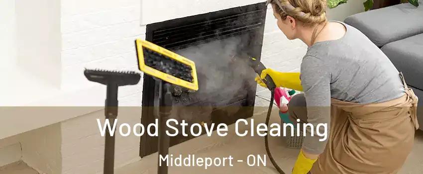  Wood Stove Cleaning Middleport - ON