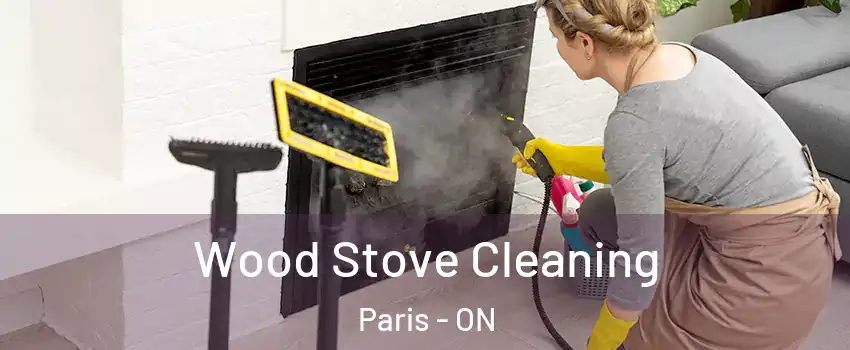  Wood Stove Cleaning Paris - ON